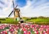Du lịch Hà Lan mùa nào đẹp nhất 