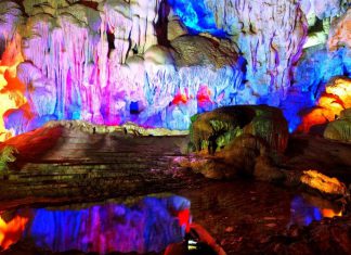 Hành trình khám phá thành phố du lịch Hạ Long trọn vẹn nhất