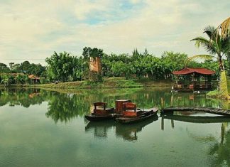 Bò Cạp Vàng: Địa điểm du lịch thu hút du khách tại Đồng Nai Bò Cạp Vàng: Địa điểm du lịch thu hút du khách tại Đồng Nai