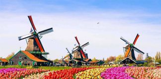 Du lịch Hà Lan với vô vàn những điểm đến tuyệt đẹp dành cho du khách