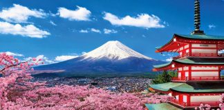 Thời điểm lý tưởng nhất để đi du lịch Nhật Bản là khi nào? Mùa nào đẹp?